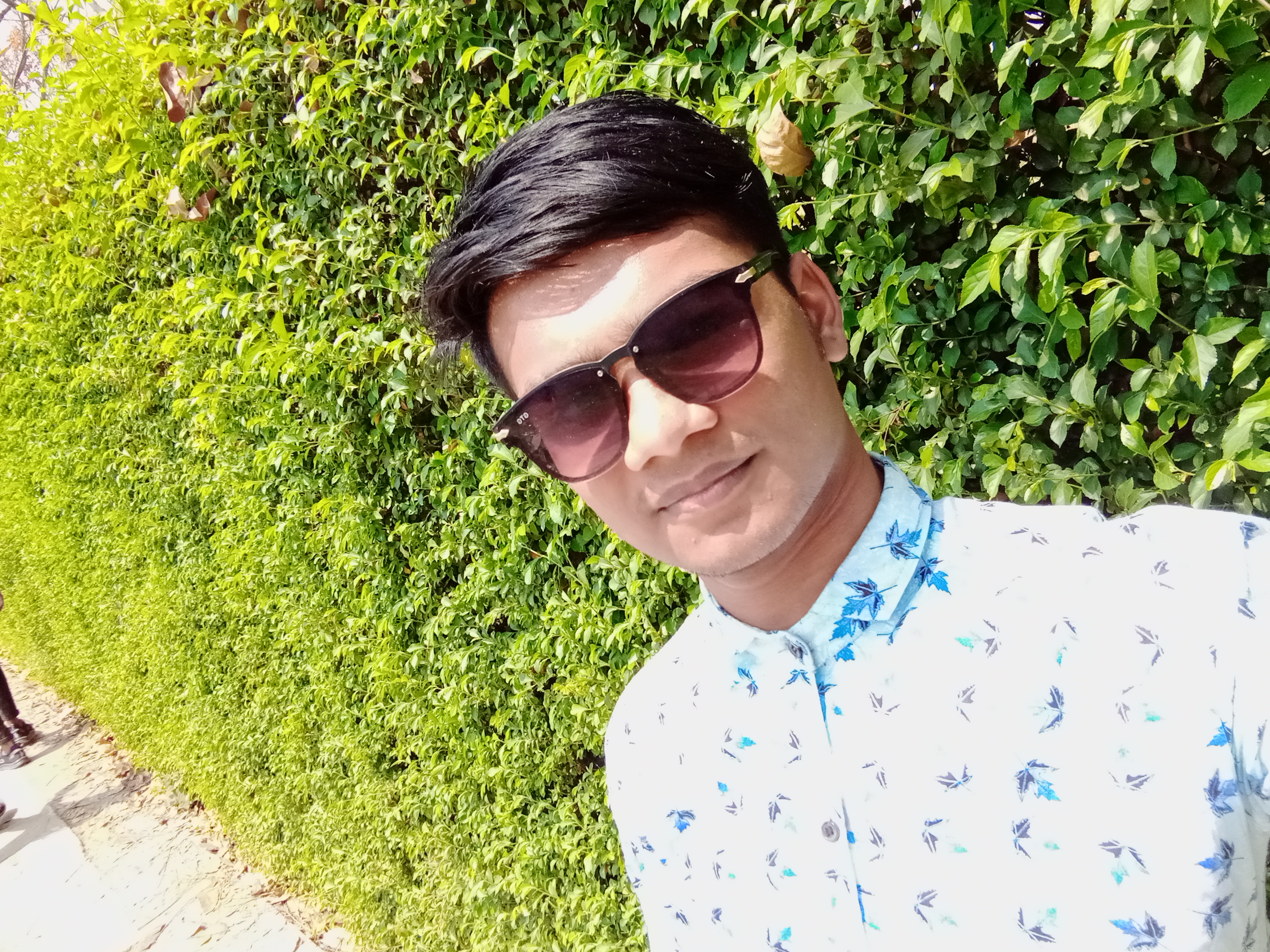 User Image